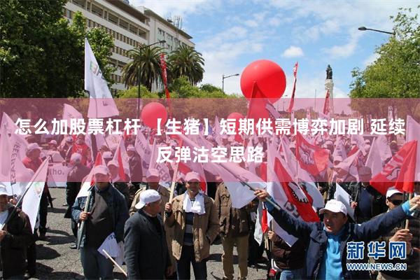 怎么加股票杠桿 【生豬】短期供需博弈加劇 延續反彈沽空思路